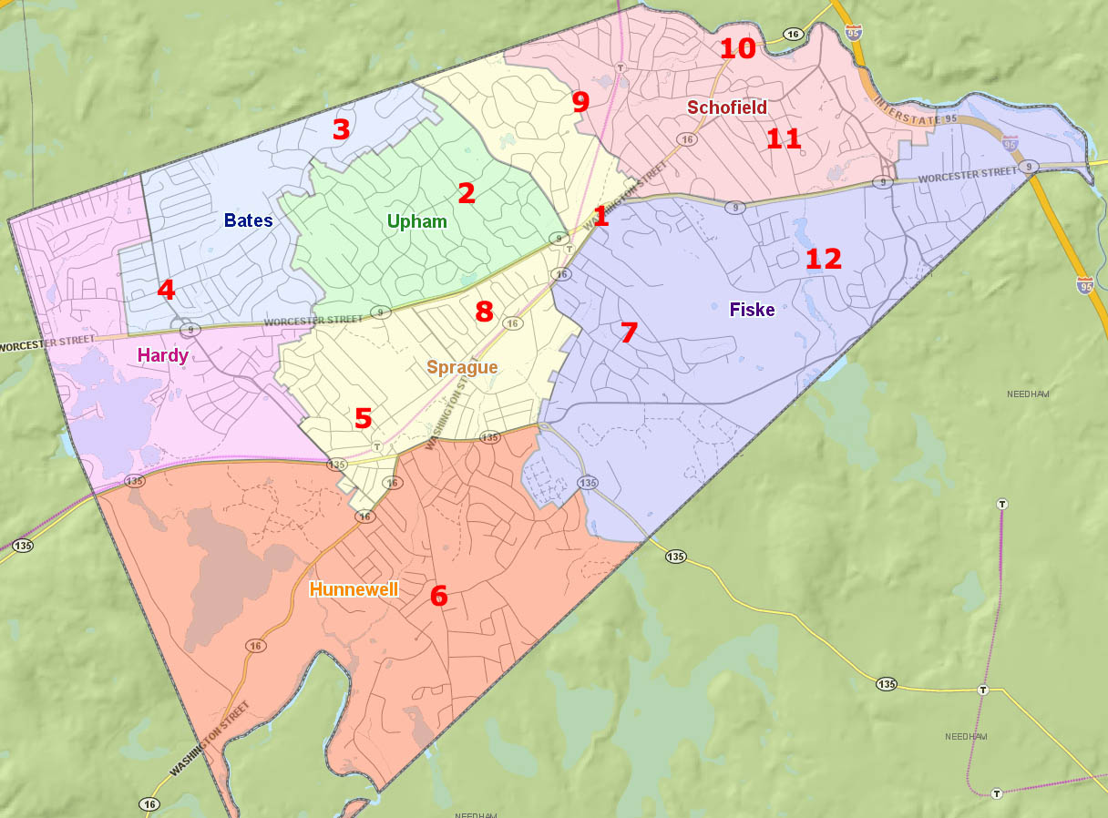 Wellesley Map School Districts